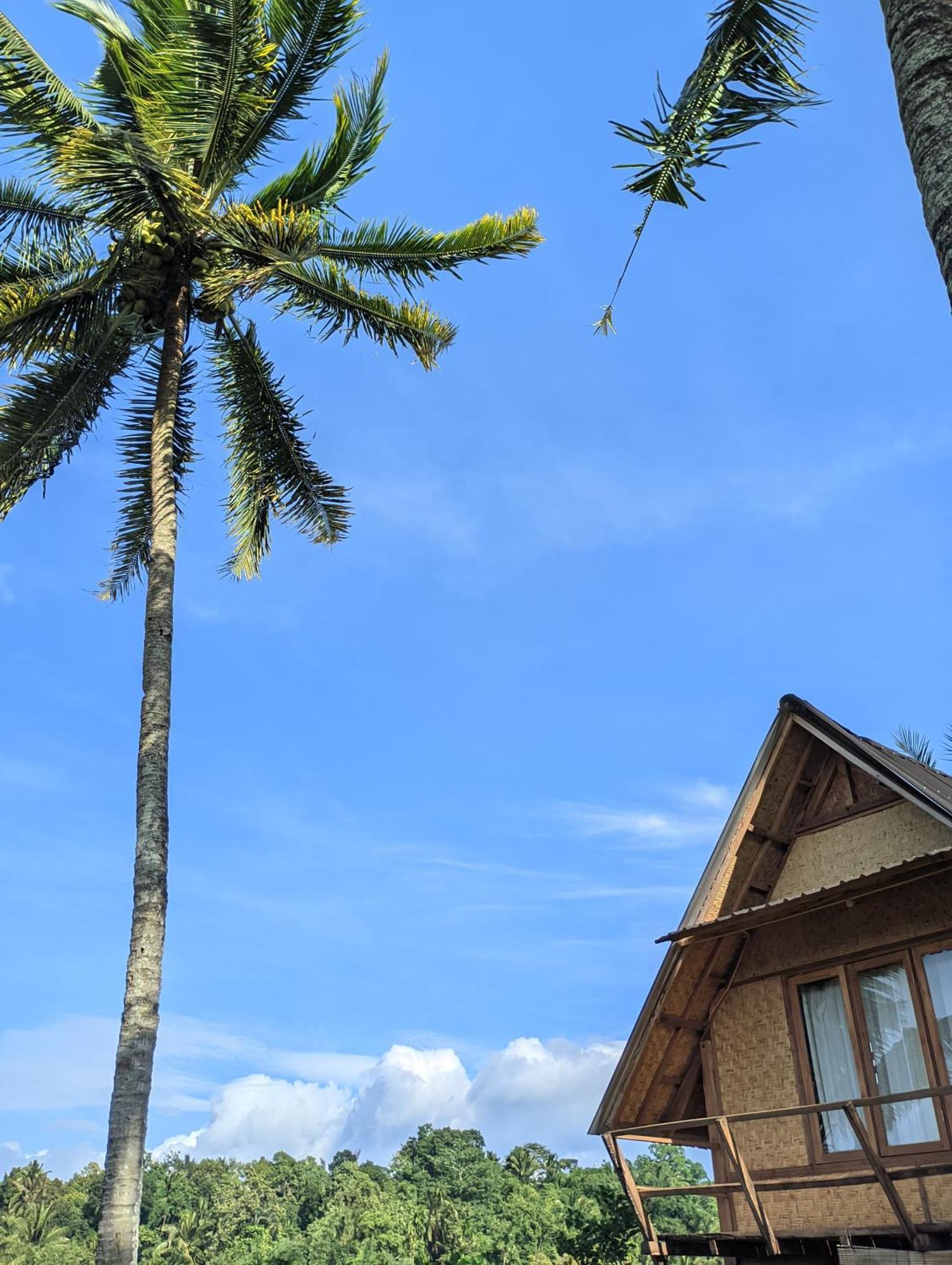Dewi Rinjani Homestay Тетебату Экстерьер фото